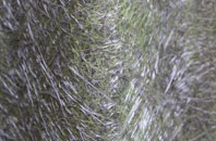 Kenny fibreglass roof work